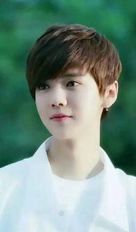 高宏鹏家庭背景