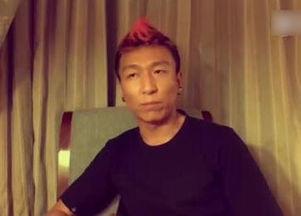 陈羽凡个人资料,华语乐坛传奇歌手的辉煌与跌宕人生