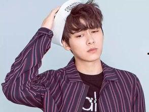 北京新明星,闪耀都市的璀璨新星