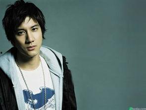 王力宏 图片,音乐梦想的璀璨星光