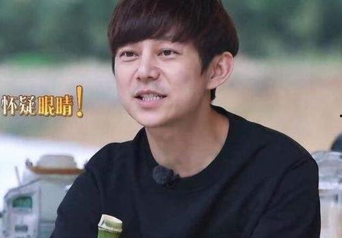 约饭夫妇表情包,甜蜜互动，美食与爱情的完美融合