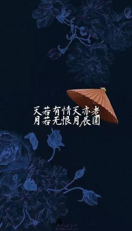 天若有情天亦老图片,一幅描绘岁月沧桑的画卷