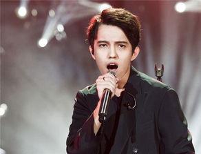 歌手叶麟背景,音乐梦想的翅膀，从平凡到闪耀的蜕变之路