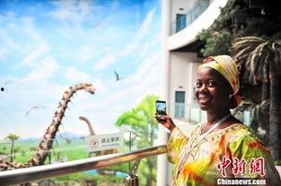 关于非洲人资料,多元文化下的独特魅力